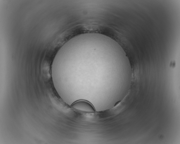 X0000113340187200909291039