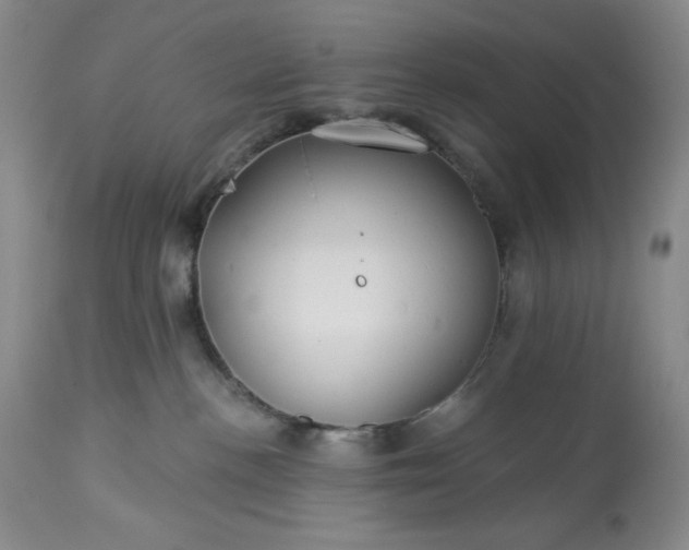 X0000113340188200909291039