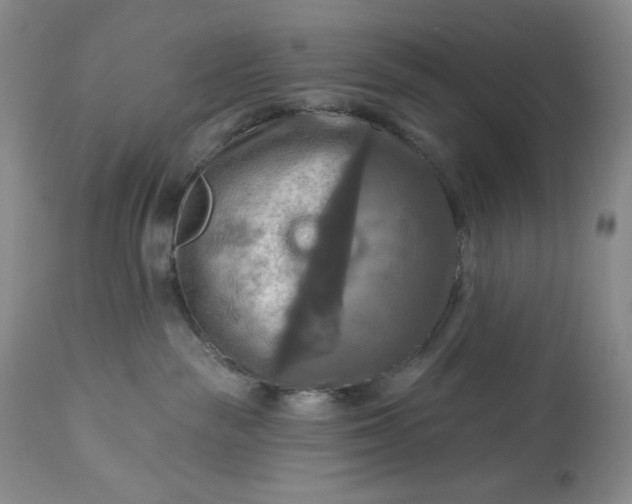 X0000113340189200909291039