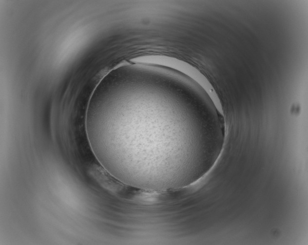 X0000113340190200909291039