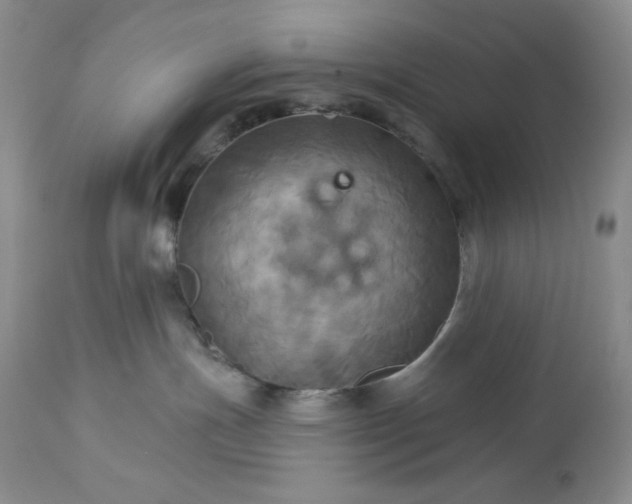 X0000113340191200909291039