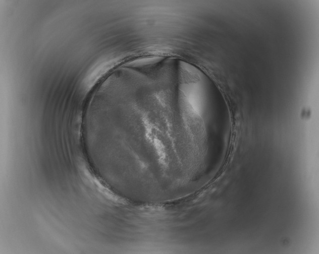 X0000113340194200909291038