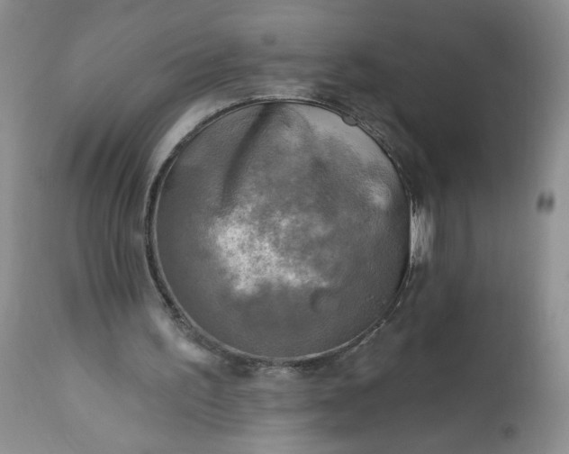 X0000113340195200909291038