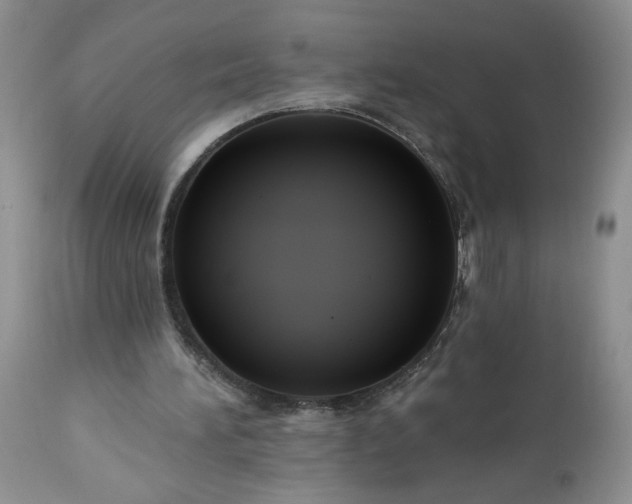 X0000113340196200909291038