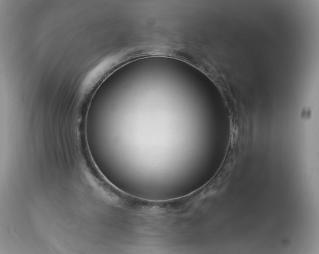 X0000113340197200909291038