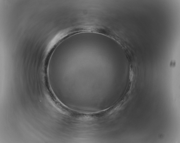 X0000113340198200909291038