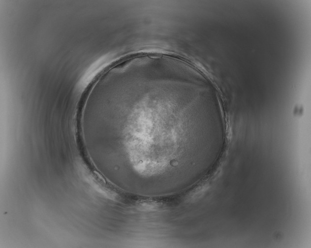 X0000113340199200909291038