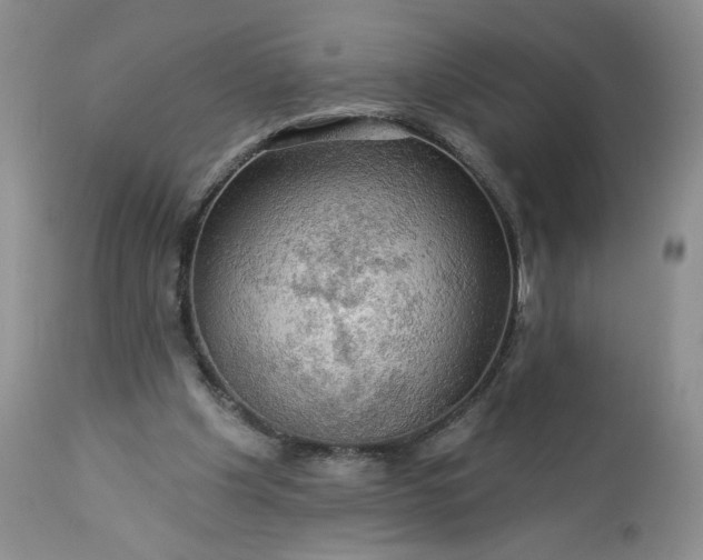 X0000113340201200909291038