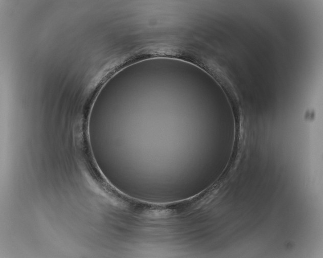 X0000113340202200909291038