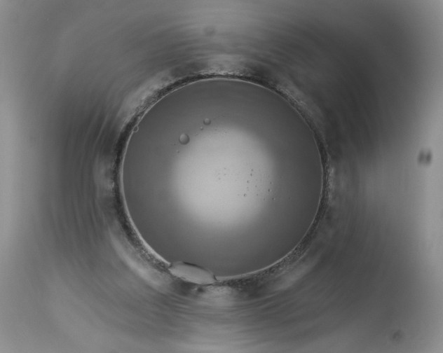 X0000113340203200909291038