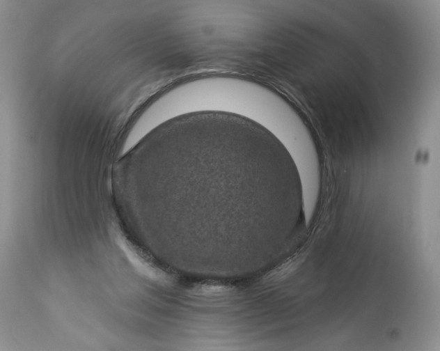 X0000113340205200909291038