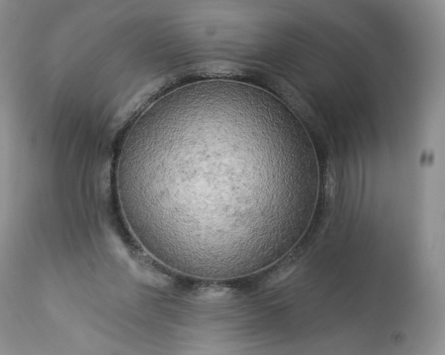 X0000113340206200909291038