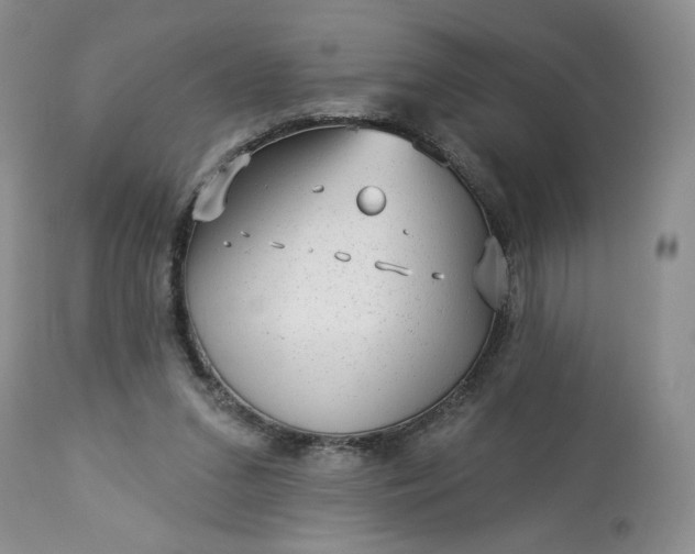 X0000113340207200909291038