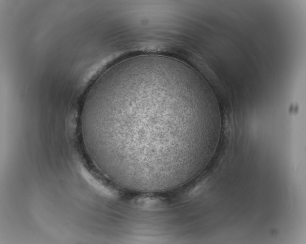 X0000113340208200909291038