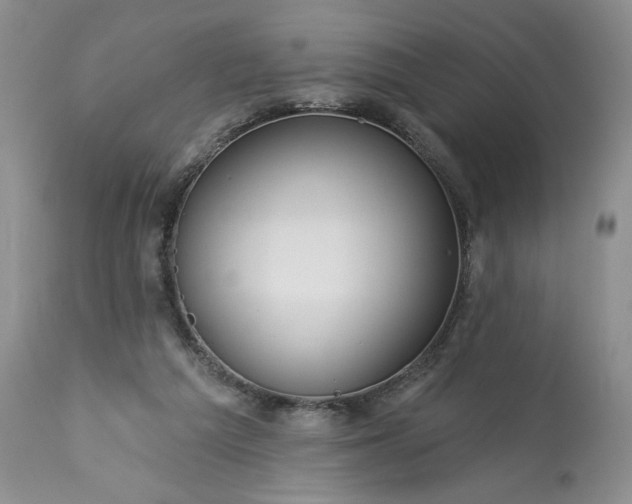 X0000113340209200909291038