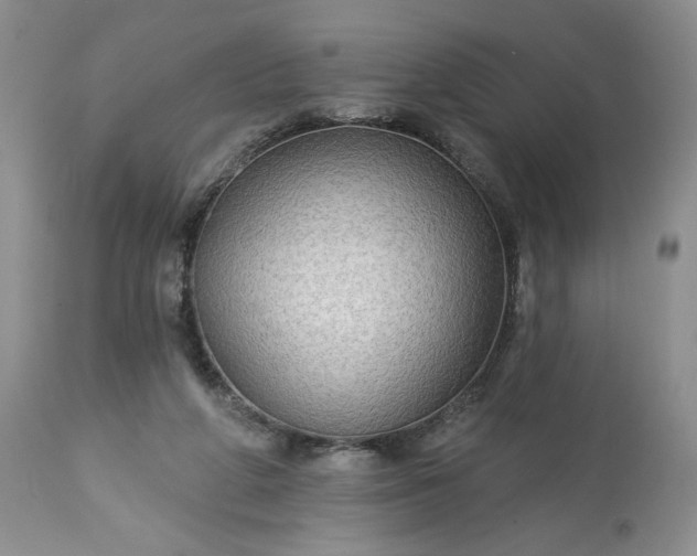 X0000113340210200909291038