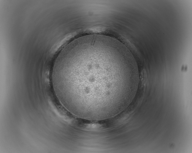 X0000113340212200909291038