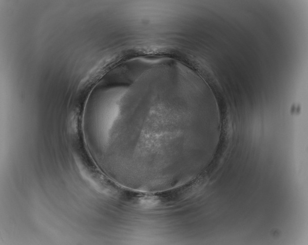 X0000113340214200909291038