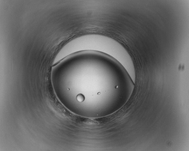 X0000113340215200909291038