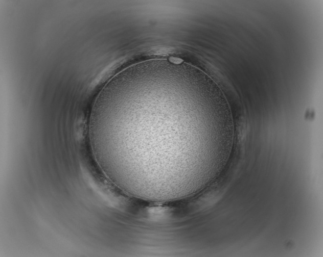 X0000113340216200909291038