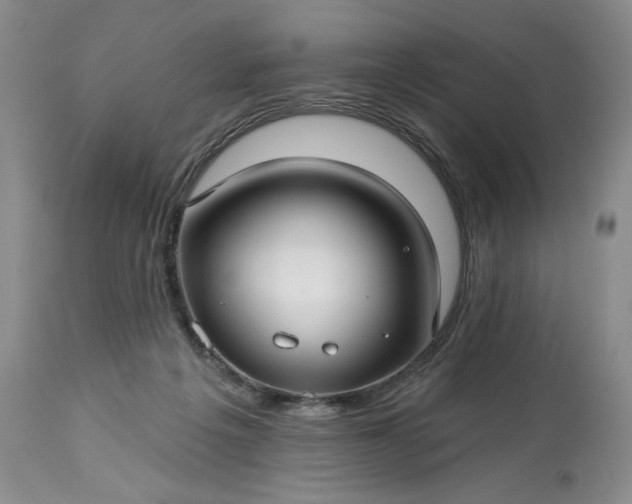 X0000113340217200909291038