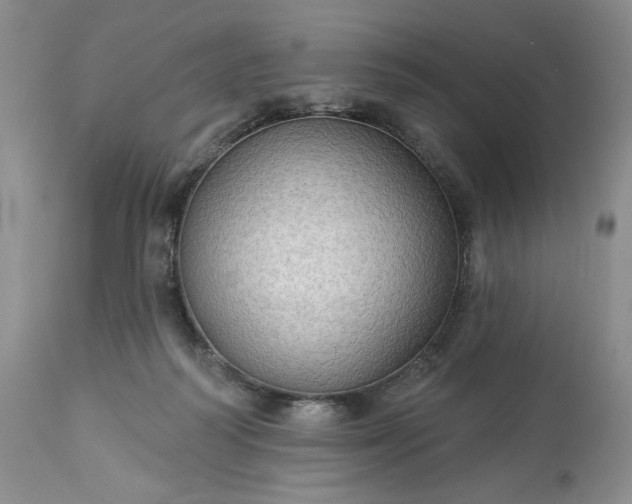 X0000113340218200909291038