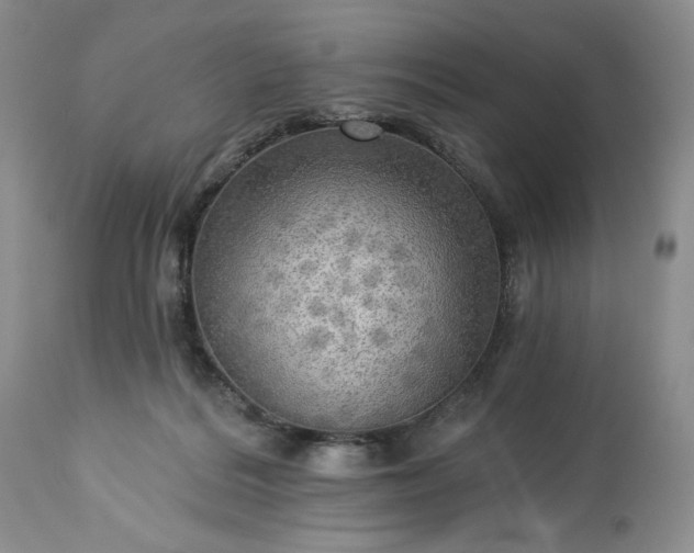 X0000113340220200909291038