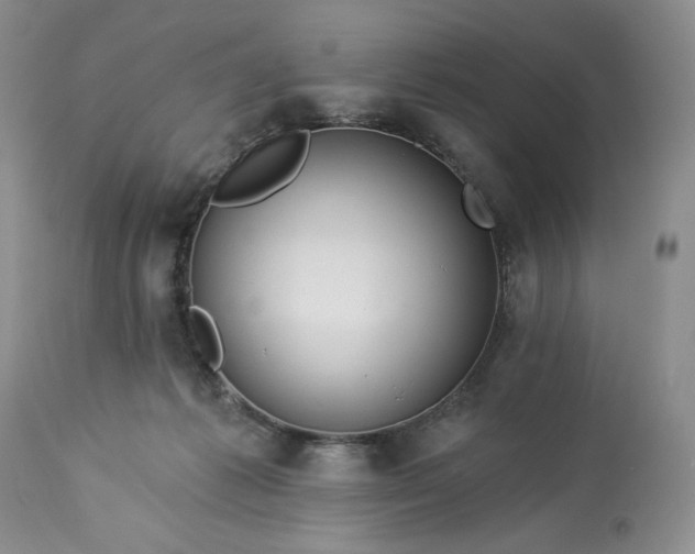 X0000113340221200909291038