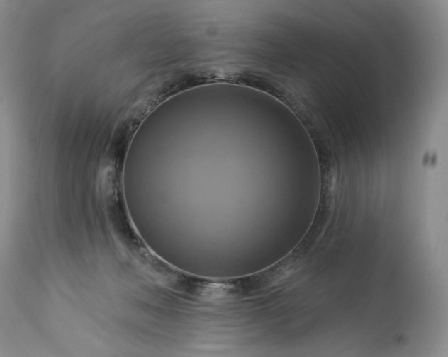 X0000113340222200909291038