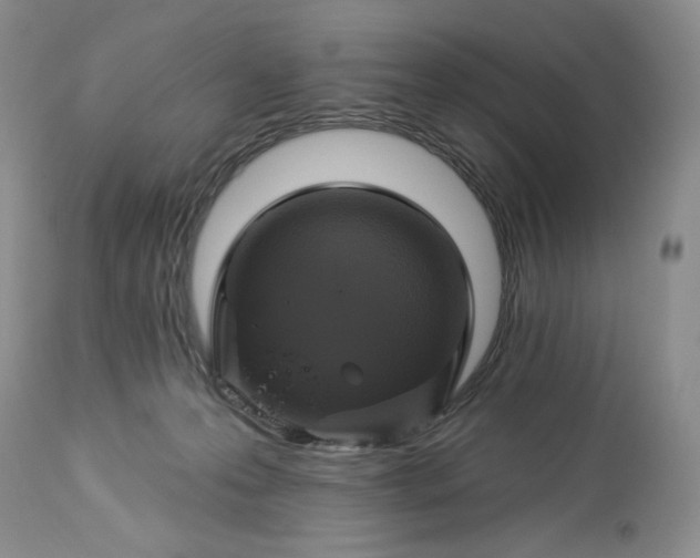 X0000113340223200909291038