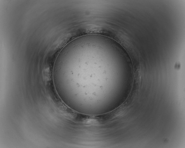 X0000113340224200909291038