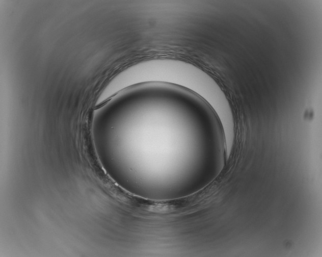 X0000113340225200909291038