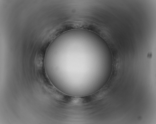 X0000113340226200909291037