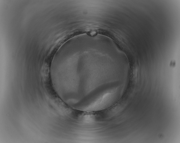 X0000113340228200909291037