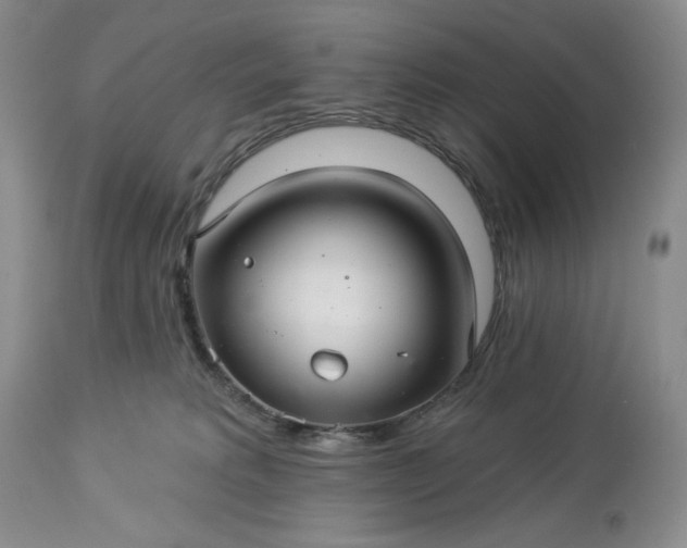 X0000113340229200909291037