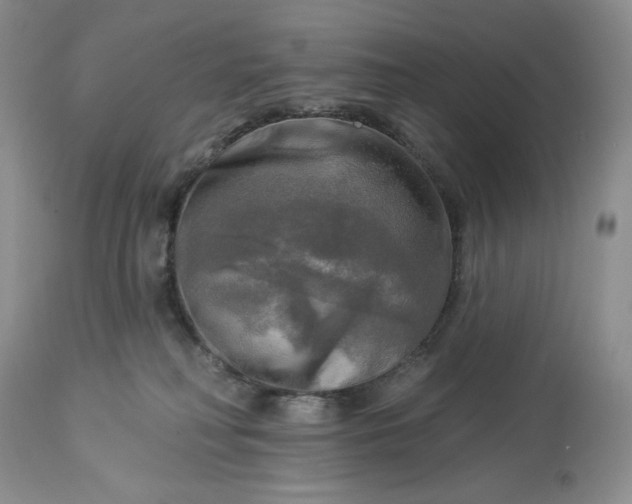 X0000113340230200909291037