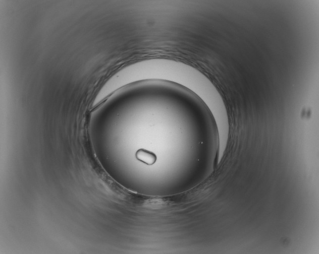 X0000113340231200909291037