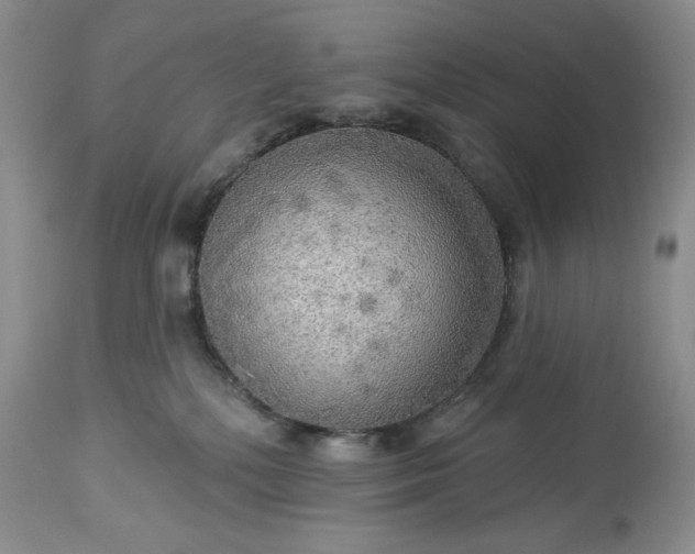 X0000113340232200909291037