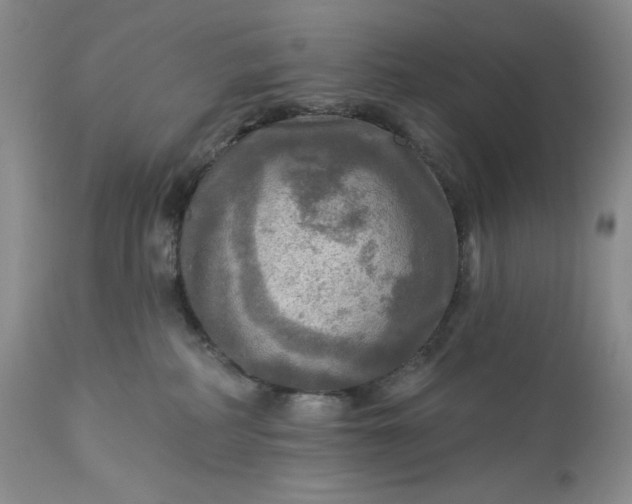 X0000113340234200909291037