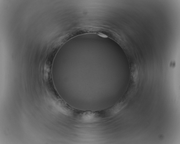 X0000113340235200909291037