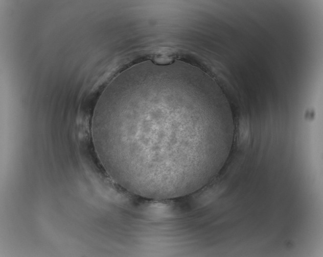 X0000113340236200909291037