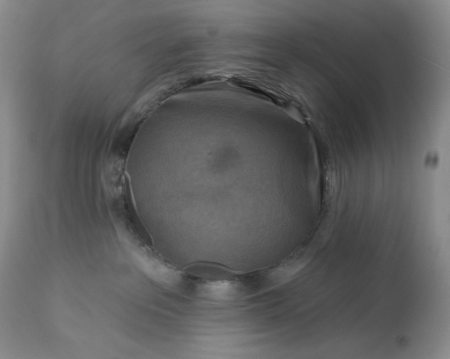 X0000113340237200909291037