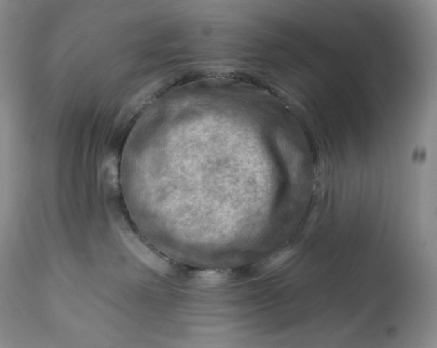 X0000113340238200909291037