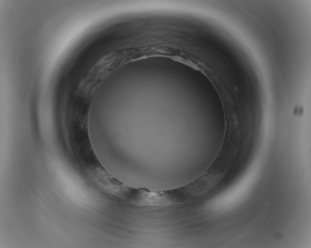 X0000113340239200909291037