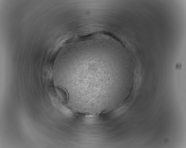 X0000113340240200909291037