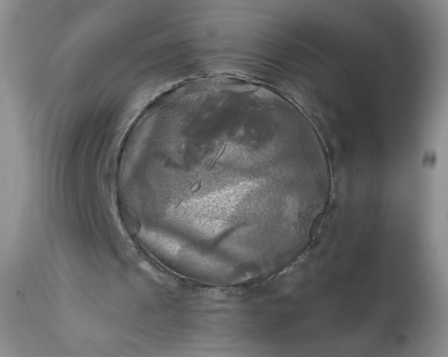 X0000113340241200909291037