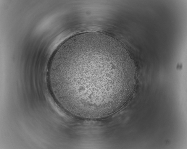 X0000113340242200909291037