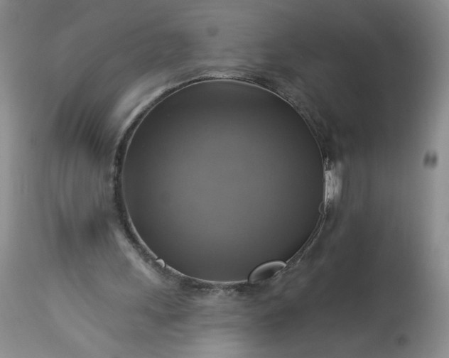 X0000113340243200909291037