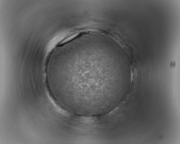 X0000113340245200909291037