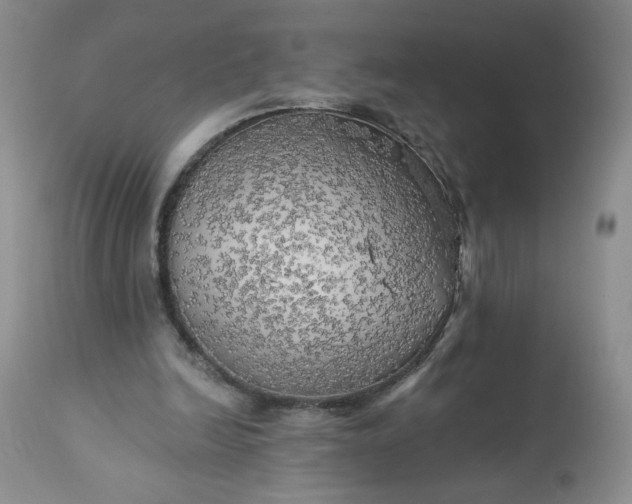 X0000113340246200909291037